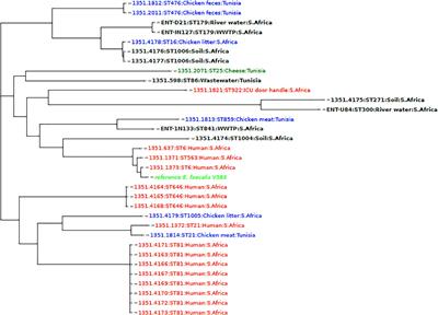 Genomic Analysis of Enterococcus spp. Isolated From a Wastewater Treatment Plant and Its Associated Waters in Umgungundlovu District, South Africa